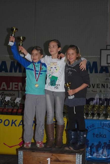 Vrtojba zakljuce 87
